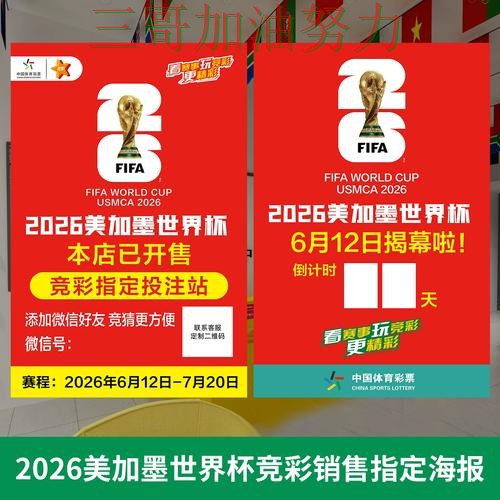 世界杯投注网站大全怎么玩别乱选，实测对比给你答案（2026世界杯）